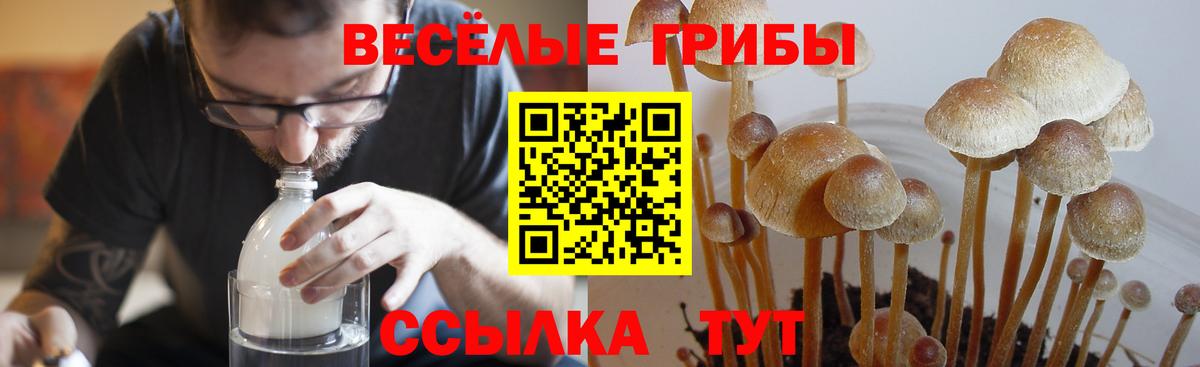 Еманжелинск  Псилоцибиновые грибы Cubensis  Вход с VPN 